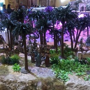 Meet your Posher, Diana